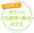老化の元　活性酵素の働きを抑える